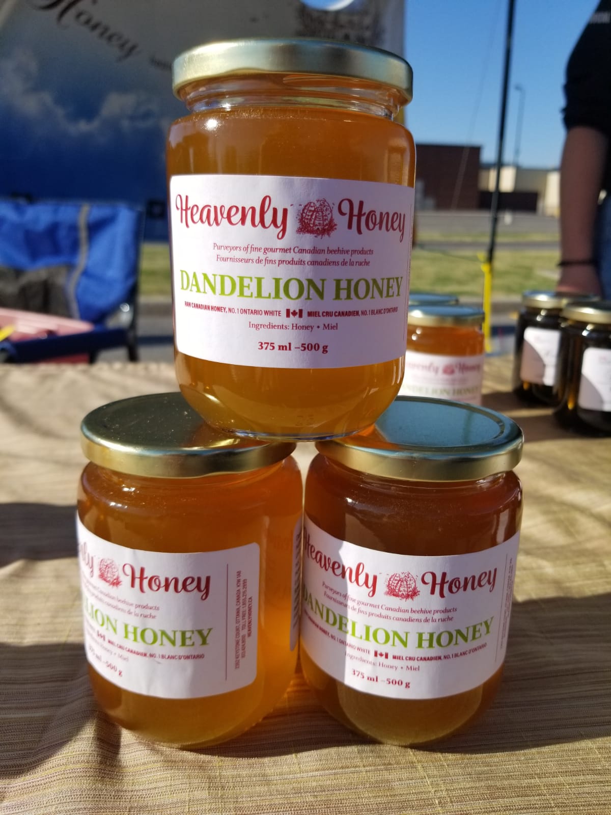 Dandelion Honey